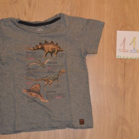t shirt dino 110